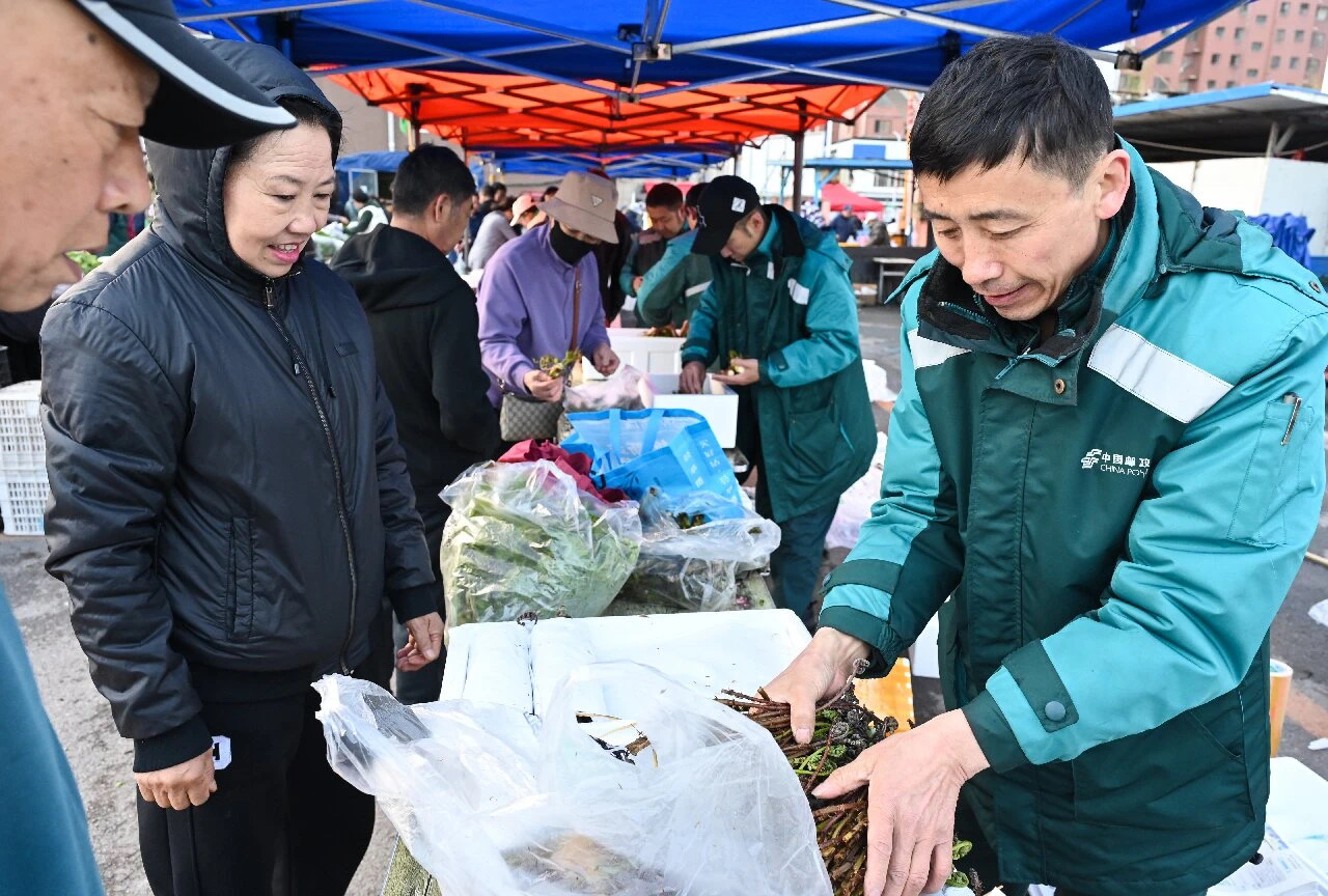 通化局多举措护航山野菜“出山” 助力特...
